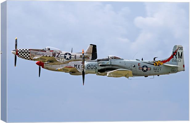 Mustangs and skyraider Canvas Print by Rachel & Martin Pics