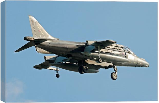 RAF Harrier hovering Canvas Print by Rachel & Martin Pics