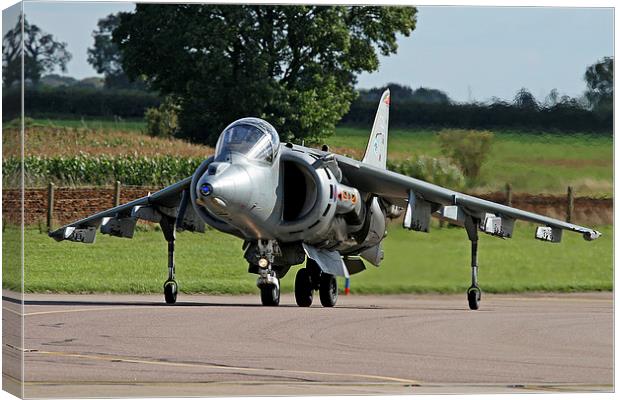 RAF Harrier taxying Canvas Print by Rachel & Martin Pics