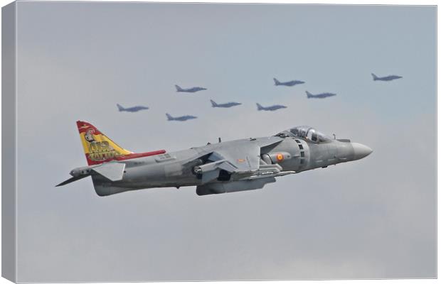 Harrier and friends Canvas Print by Rachel & Martin Pics