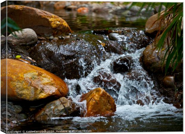 Tiny Waterfall Canvas Print by Keith Campbell