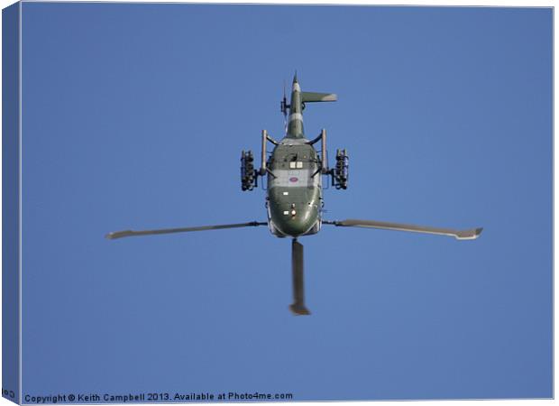 Looping Lynx Canvas Print by Keith Campbell