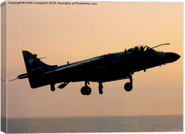  Sunset Sea Harrier Canvas Print by Keith Campbell