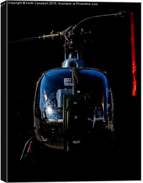  Royal Marine Gazelle in the shadows Canvas Print by Keith Campbell