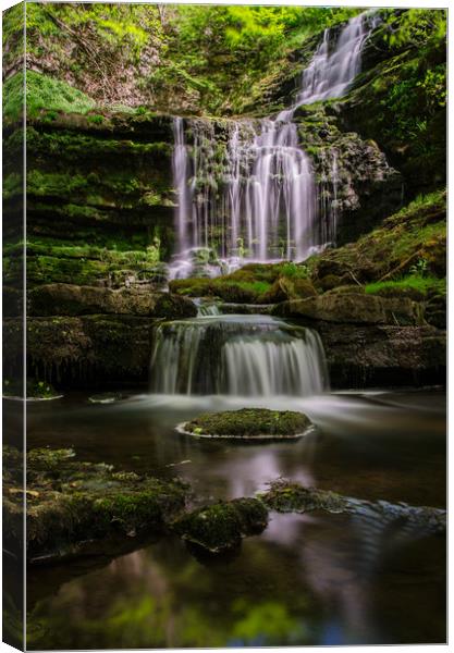Scalebor Force, Settle Canvas Print by ANDREW HUDSON