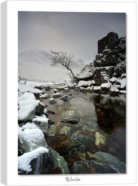 A waterfall in the snow Canvas Print by JC studios LRPS ARPS