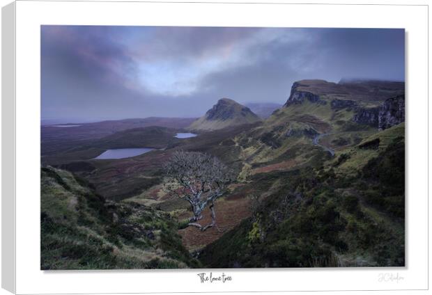 The lone tree on Skye Quiraing Scotland Highlands Canvas Print by JC studios LRPS ARPS