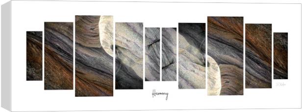 Harmony Canvas Print by JC studios LRPS ARPS