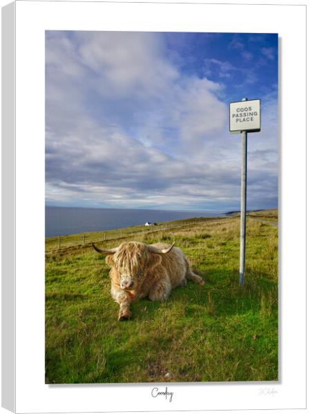 Coosday in  Scotland  Canvas Print by JC studios LRPS ARPS