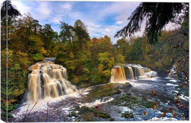 Falls of Clyde in  autumn No 2 Canvas Print by JC studios LRPS ARPS