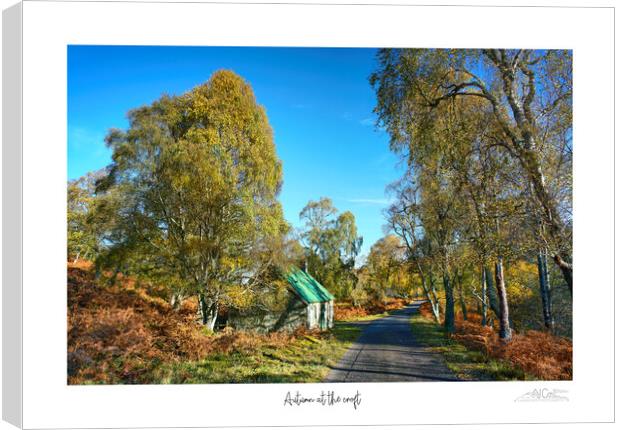 Autumn at the croft Canvas Print by JC studios LRPS ARPS