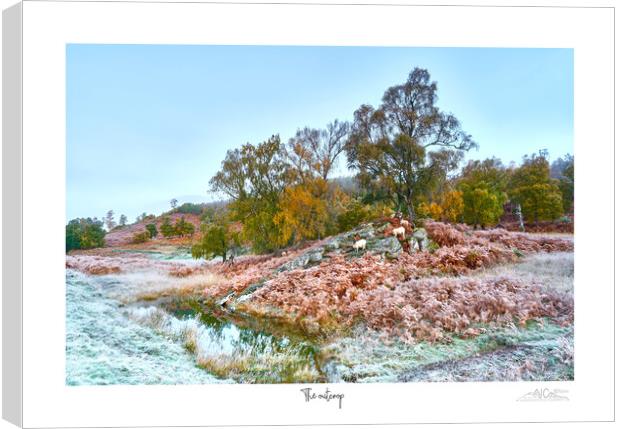 The outcrop.. A frosy  autumnal start to the day. Canvas Print by JC studios LRPS ARPS