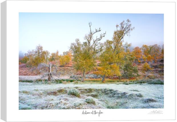 Autumn at the glen.  Canvas Print by JC studios LRPS ARPS