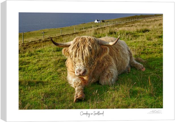 Coosday in Scotland  Canvas Print by JC studios LRPS ARPS