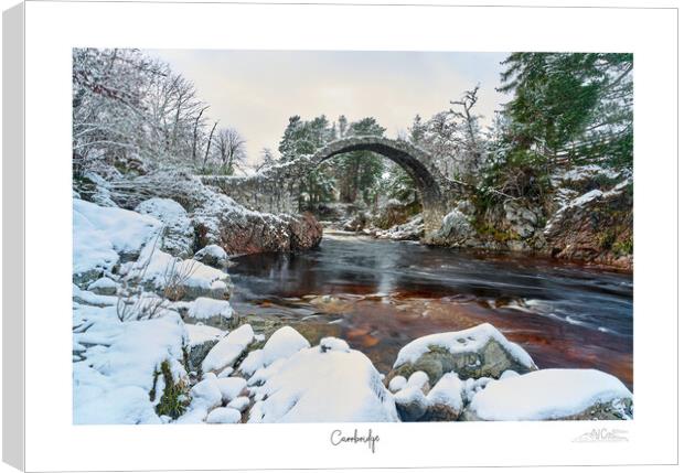 Carrbridge Canvas Print by JC studios LRPS ARPS