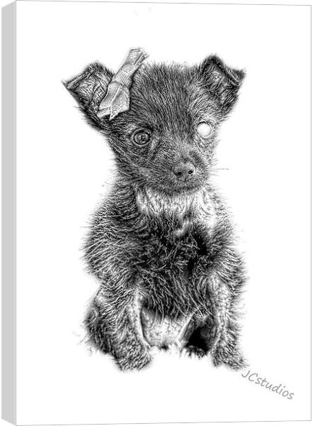  The famous Maggie in pencil by JCstudios Canvas Print by JC studios LRPS ARPS
