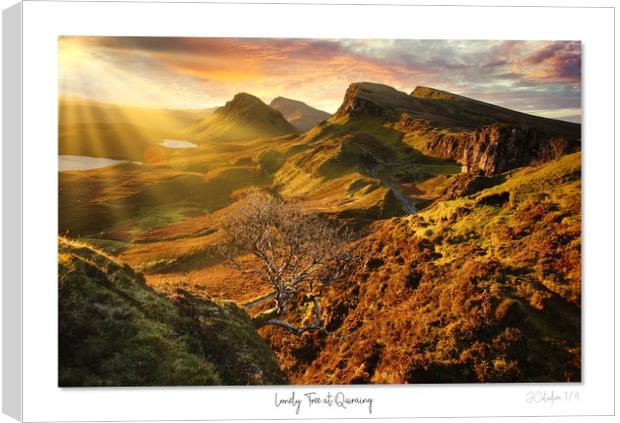 Lonely Tree at Quiraing  Canvas Print by JC studios LRPS ARPS