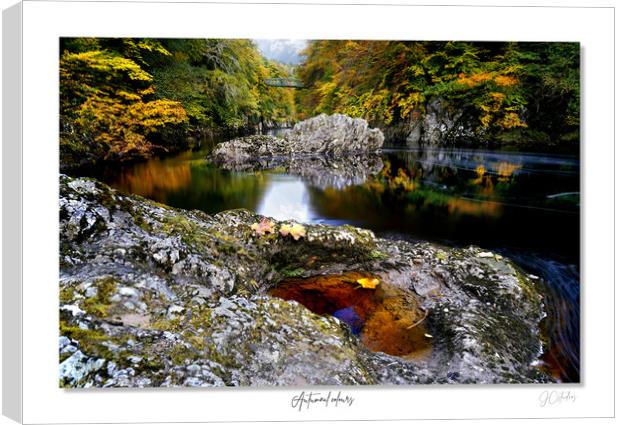 Autumnal colour. Canvas Print by JC studios LRPS ARPS