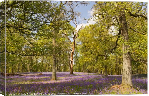 Oak and Bluebells Canvas Print by Lady Debra Bowers L.R.P.S