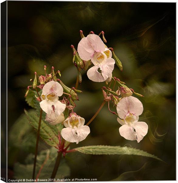 Jewelweed/Himalayan balsam Canvas Print by Lady Debra Bowers L.R.P.S