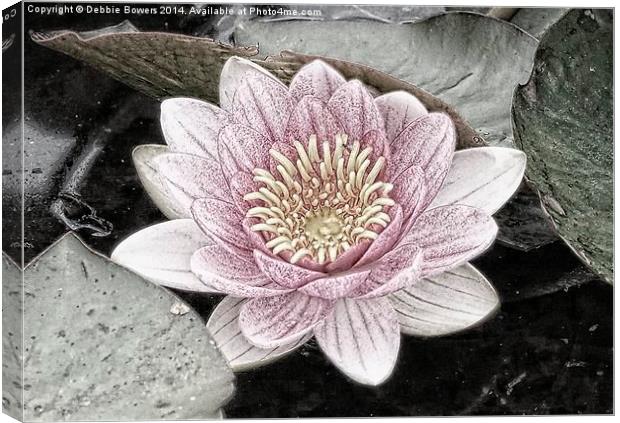  Water Lily Canvas Print by Lady Debra Bowers L.R.P.S