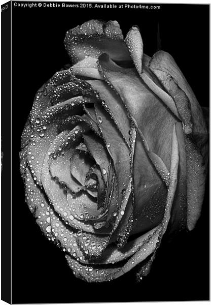  B&W Rose with drops  Canvas Print by Lady Debra Bowers L.R.P.S