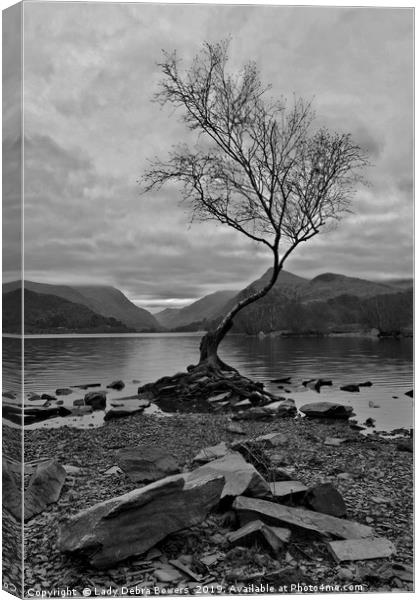 Lone Tree B&W Canvas Print by Lady Debra Bowers L.R.P.S