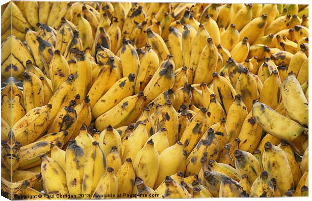 Yellow Bananas Canvas Print by Paul Corrigan