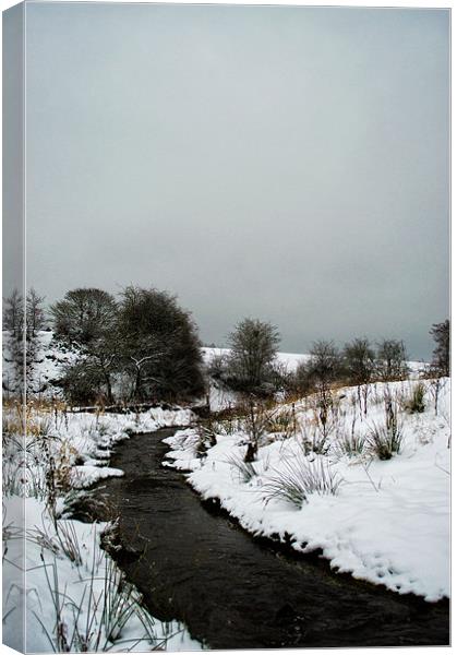 Let it snow. Canvas Print by