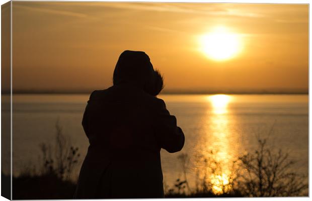 Sunset Silhouette Canvas Print by Mark Brindle