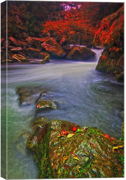 Watersmeet Lynton & Lynmouth Canvas Print by Stephen Walters