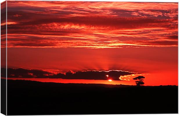 Sunset in Somerset Canvas Print by Stephen Walters