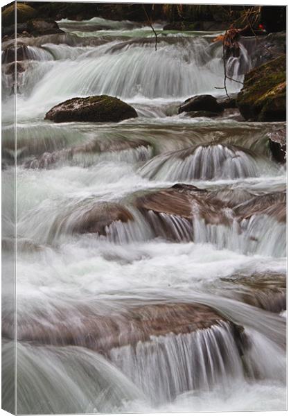 fresh spring flow Canvas Print by Stephen Walters