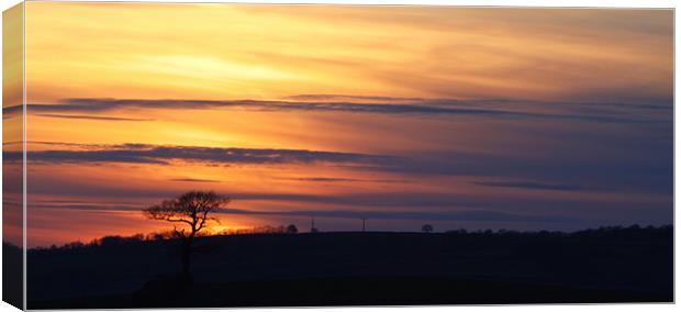 Yellow sunset Canvas Print by Stephen Walters