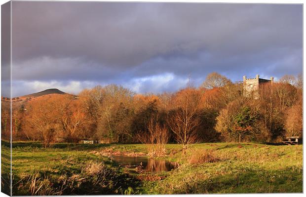 Abergavenny Castle and Sugar Loaf Mountain Canvas Print by simon powell