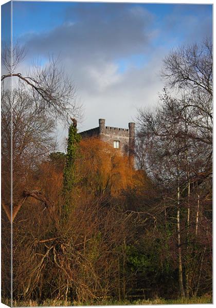 Aberagevnny Castle through the trees Canvas Print by simon powell