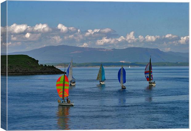 Red sails Canvas Print by Tommy Reilly