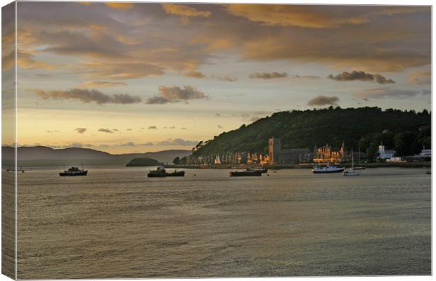 Oban Harbour Canvas Print by Tommy Reilly
