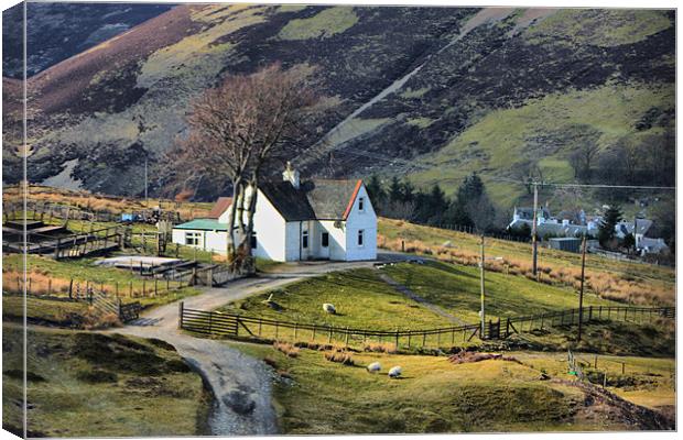 White Cottage Canvas Print by Tommy Reilly
