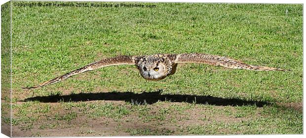  Eagle Owl coming in for the kill Canvas Print by Jeff Hardwick