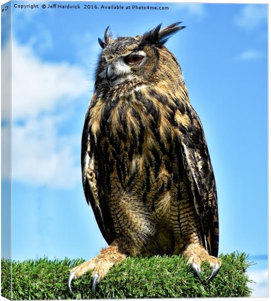 European Eagle Owl Canvas Print by Jeff Hardwick