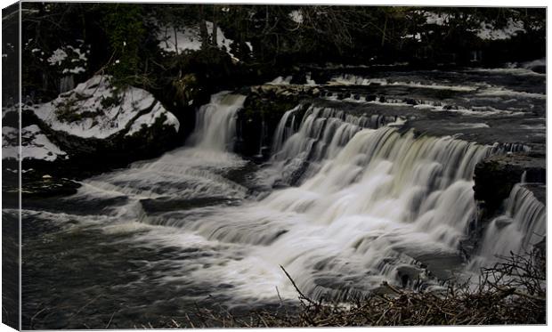 Aysgarth Falls, Yorkshire, UK Canvas Print by Emily Green