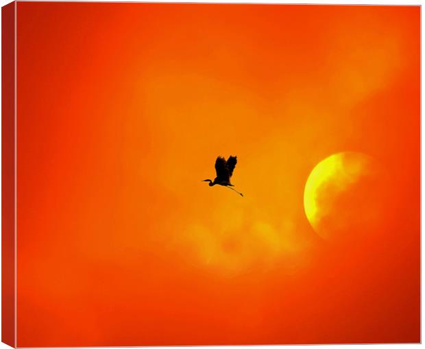 Passing by the sun Canvas Print by Matthew Laming
