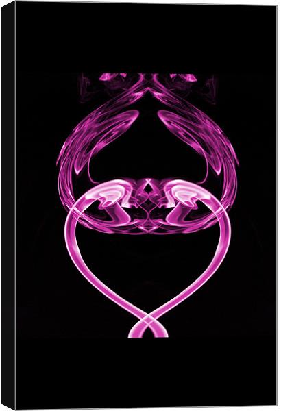 Pink heart reflections Canvas Print by Steve Purnell