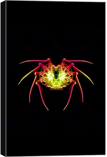 Smoke Spider 1 Canvas Print by Steve Purnell