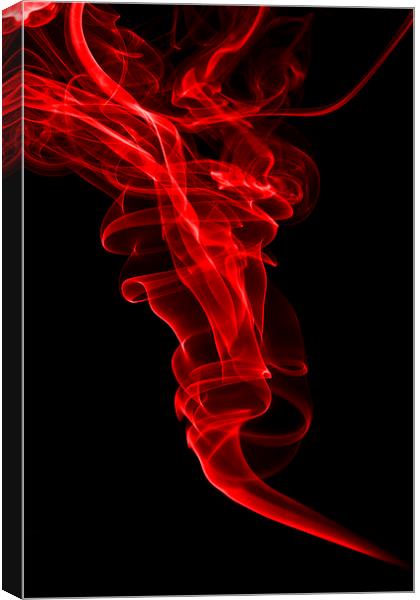 Red One Canvas Print by Steve Purnell