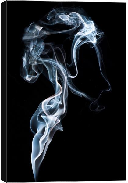 A Portrait In Smoke Canvas Print by Steve Purnell
