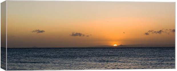 Sunrise on Berwick Law Canvas Print by Douglas McMann