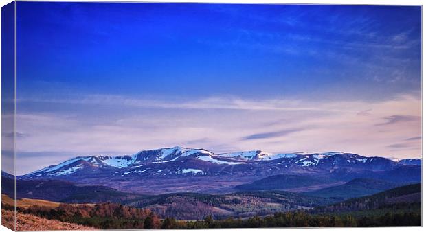 Blue Lochnagar Canvas Print by Douglas McMann