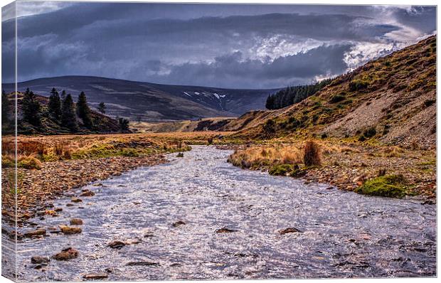 Heavy Air Canvas Print by Douglas McMann